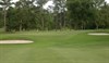 champ image 1446246